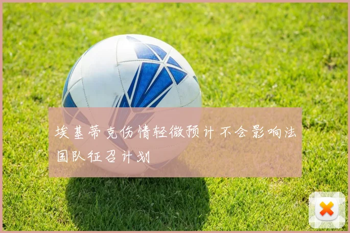 埃基蒂克伤情轻微预计不会影响法国队征召计划